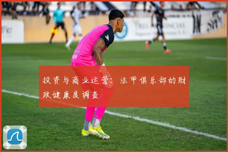 投资与商业运营：法甲俱乐部的财政健康度调查